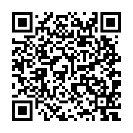 QR code for VZVG95