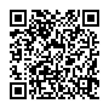 QR code for WAI987