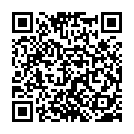 QR code for WCHI38