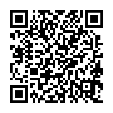 QR code for WDW295