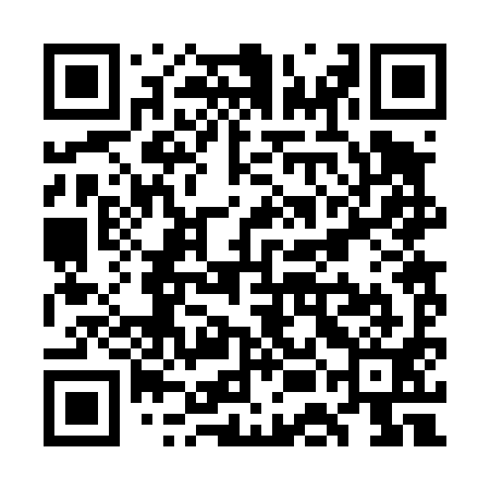 QR code for WEB491