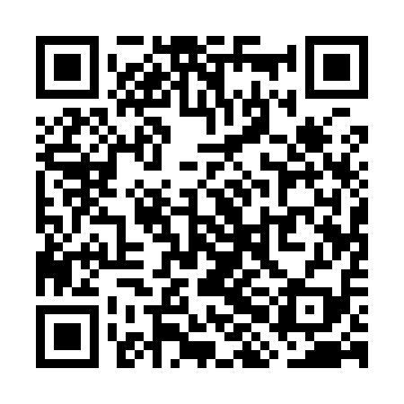 QR code for WHA919