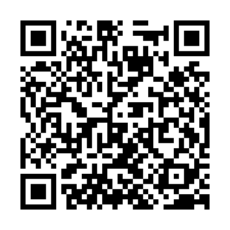 QR code for WIQN29