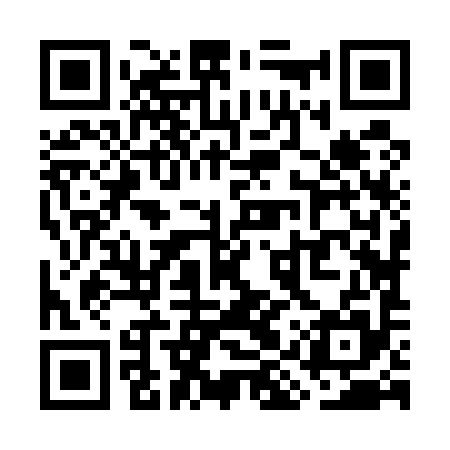 QR code for WIZ595