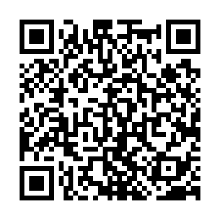 QR code for WNT739