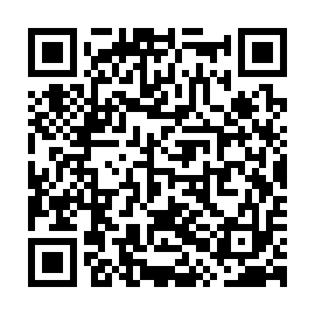 QR code for WPCS13