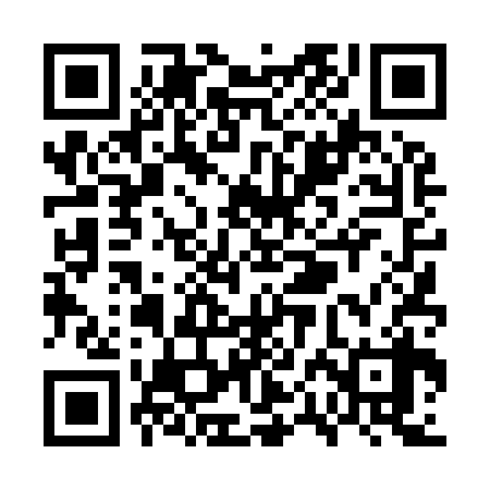 QR code for WPD938
