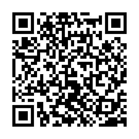 QR code for WSO119