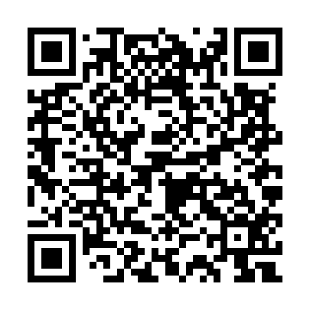 QR code for WSVM16