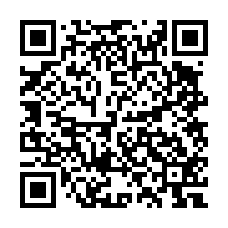 QR code for WYB413