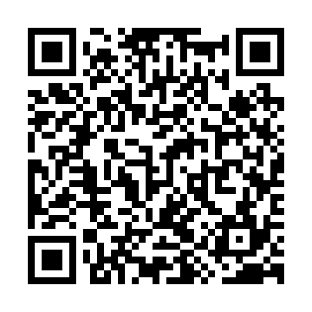 QR code for WYS234