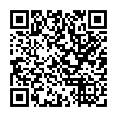 QR code for WZD379