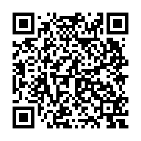 QR code for WZI613