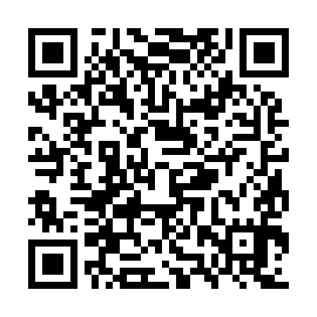 QR code for WZS995