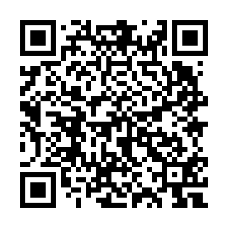 QR code for WZY611
