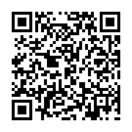 QR code for XDL387