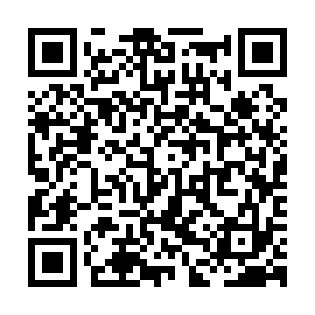 QR code for XDS133