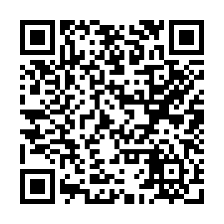 QR code for XFS384