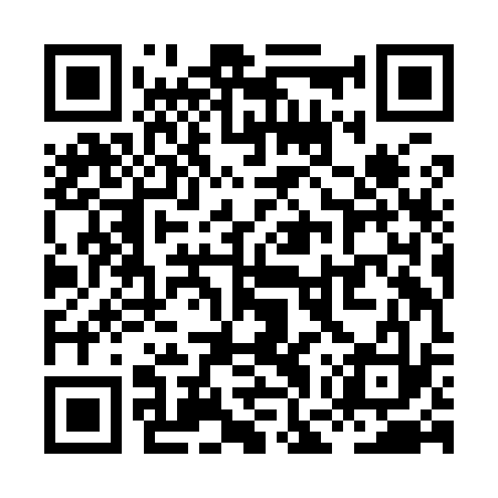 QR code for XGZI33