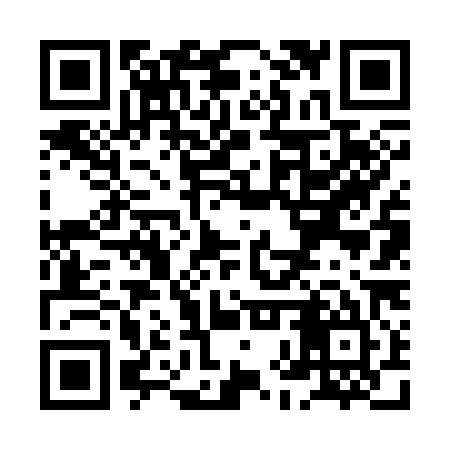 QR code for XHV385