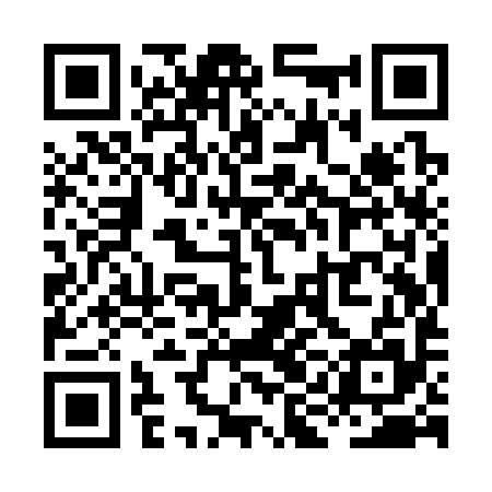 QR code for XIIS95