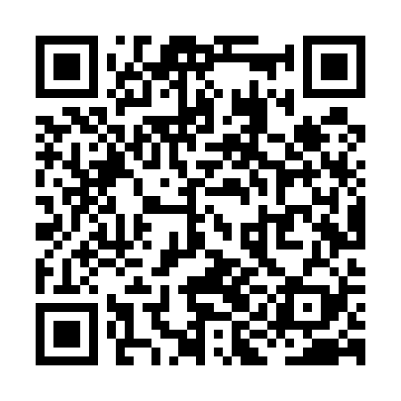 QR code for XILU29