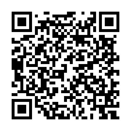 QR code for XIUM95