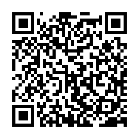QR code for XJR369