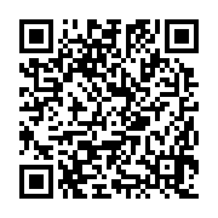 QR code for XKB394