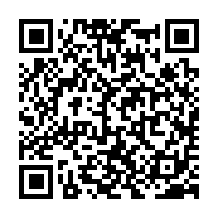 QR code for XKR311
