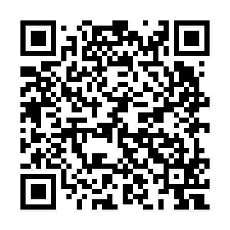 QR code for XLIF95