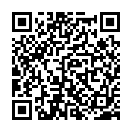 QR code for XSG313