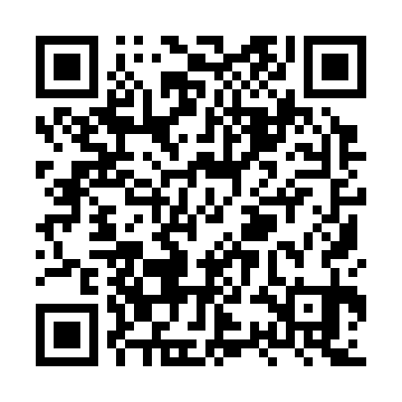 QR code for XSI331