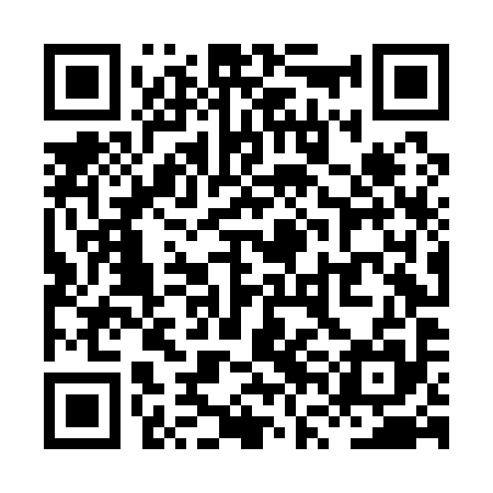 QR code for XVLA95