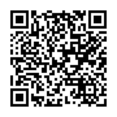 QR code for XZL317