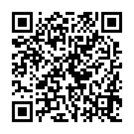 QR code for YBZ292