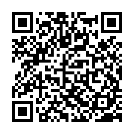 QR code for YBZL81