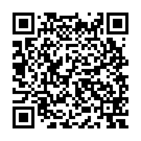 QR code for YER399