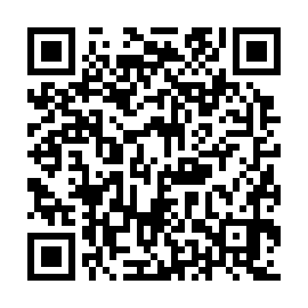 QR code for YEV370
