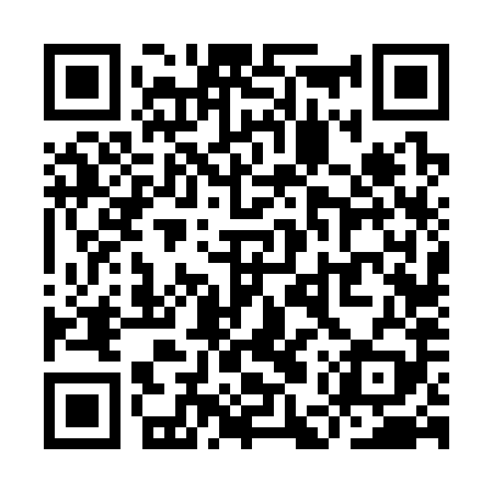 QR code for YEV389