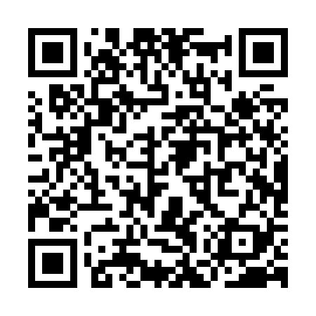 QR code for YGPZ29
