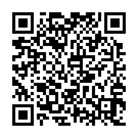 QR code for YIUC13