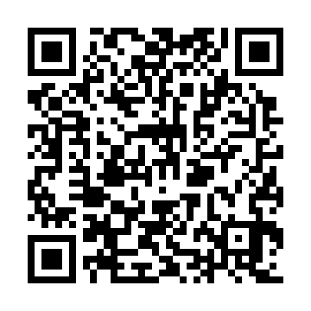 QR code for YJF333