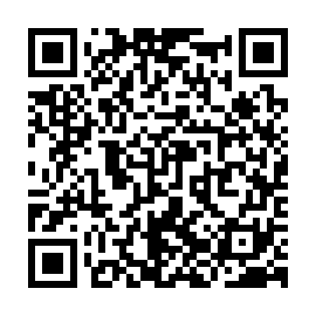 QR code for YJS371