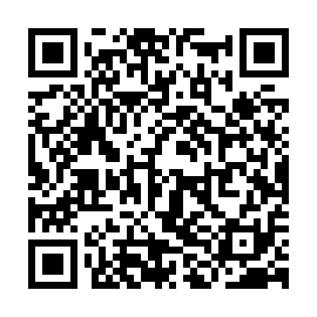 QR code for YLDZ11