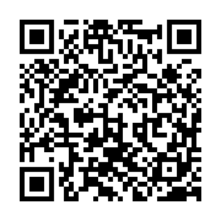 QR code for YLZ950