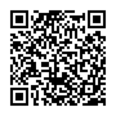 QR code for YNE753