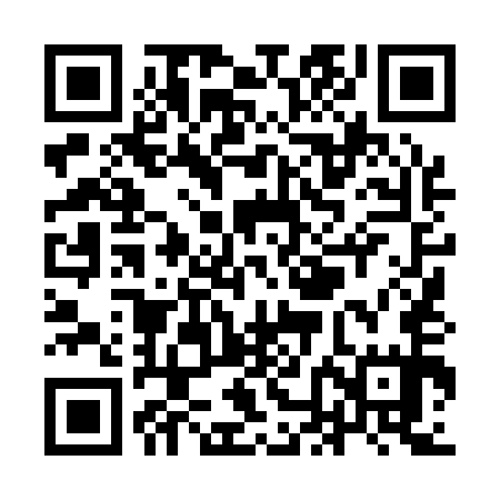 QR code for YNL155