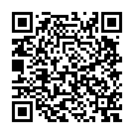 QR code for YNQ411