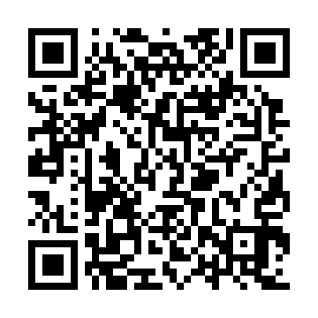 QR code for YPS313